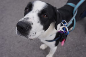 Użyj Wyobraźni Granica